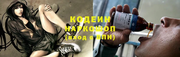 соль ск Инта