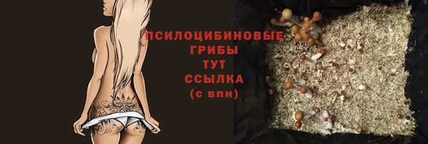 ешки Инсар