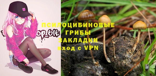 ешки Инсар