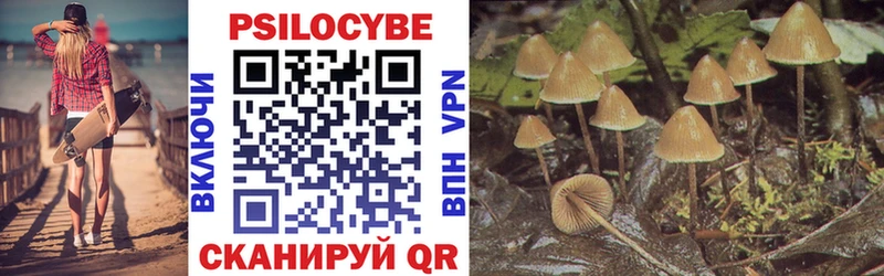 Купить где  Гай  Псилоцибиновые грибы мицелий 